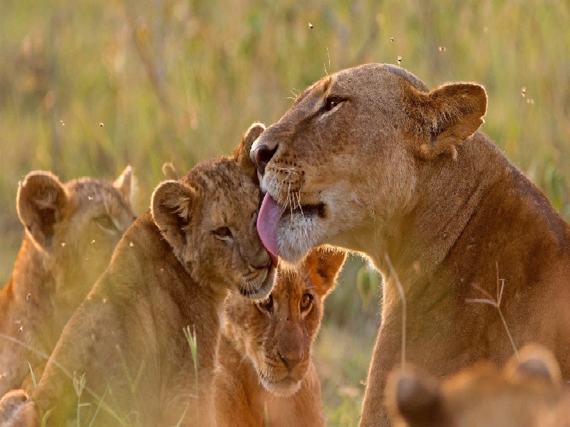 贵阳试管做几代好,2024年贵阳拔牙能做试管么（试管移植能洗澡）
